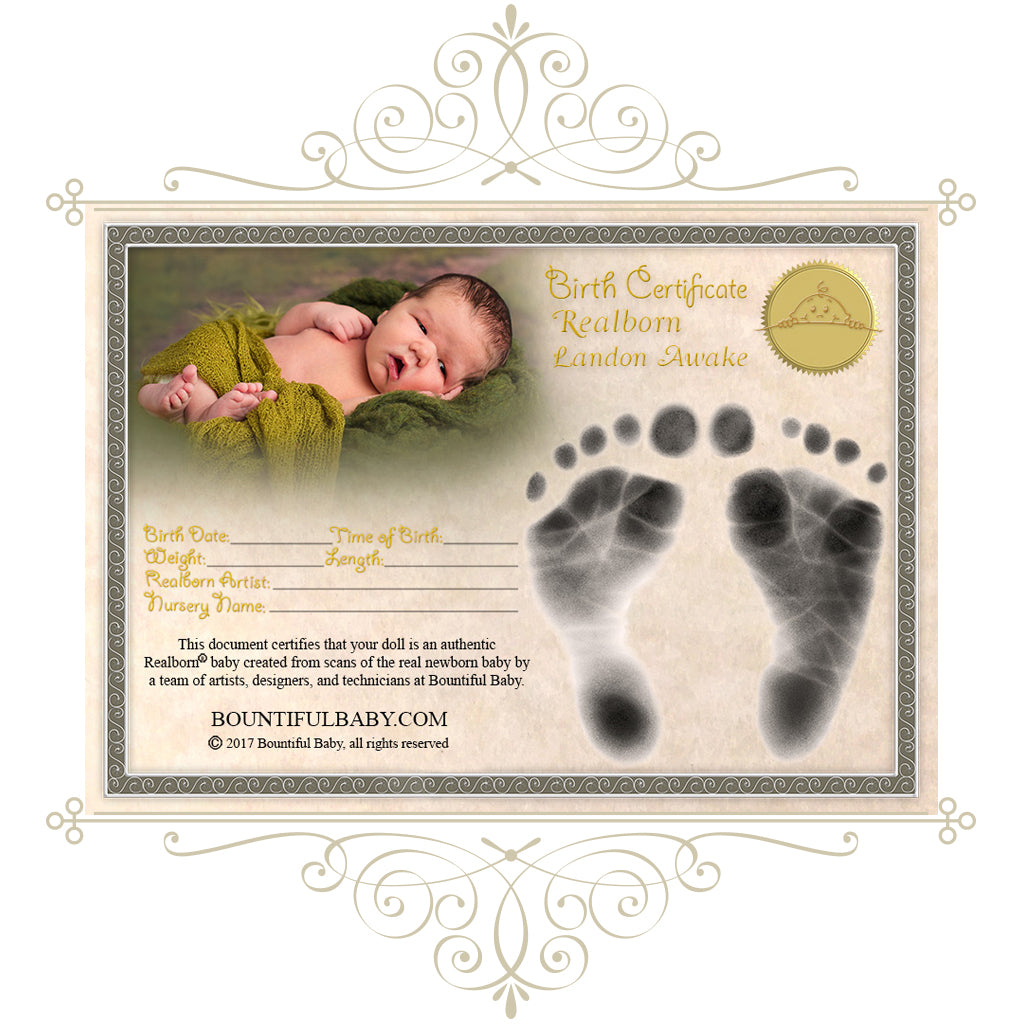 Realborn® Landon Awake (21" Reborn Doll Kit)