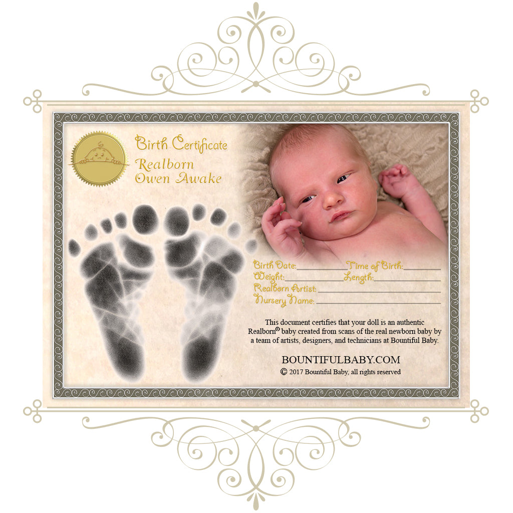 Realborn® Owen Awake (19.5" Reborn Doll Kit)