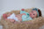 Denise Pratt Tummy Plate for 18-22" Dolls- #2949