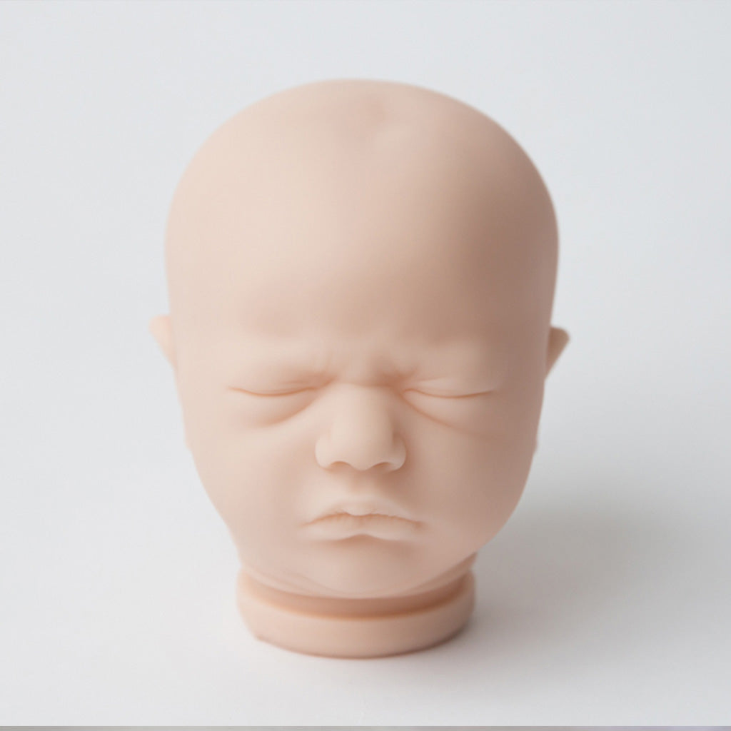 Head Portrait Casting Kit